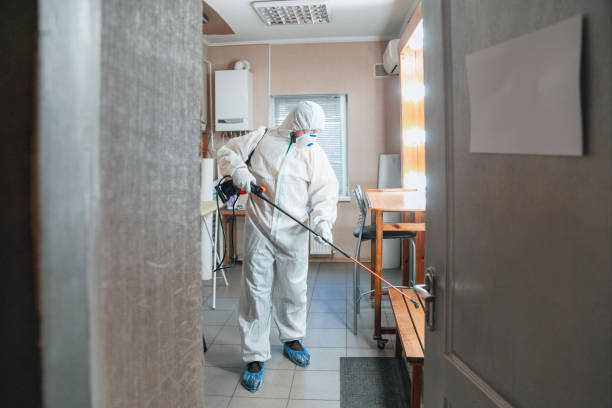 Best Post-Construction Mold Inspection  in Belle Plaine, IA