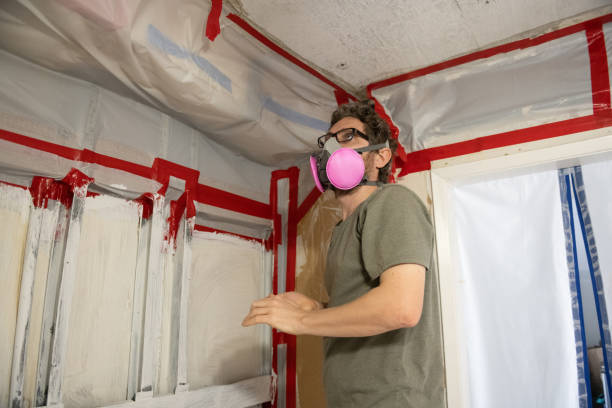 Best Mold Odor Removal Services  in Belle Plaine, IA