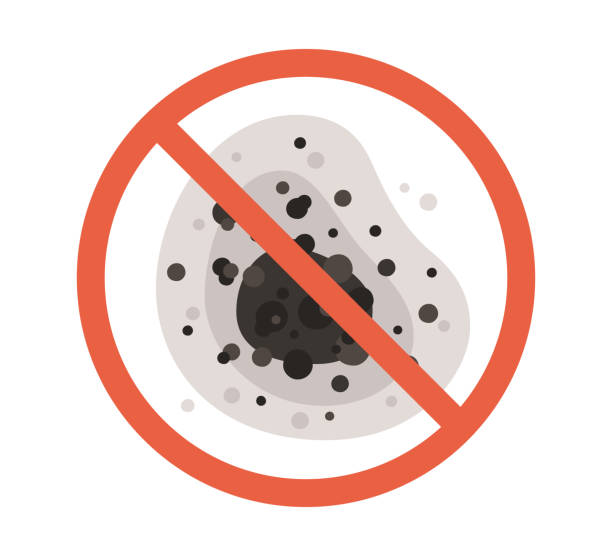 Best Mold-Related Health Consultation  in Belle Plaine, IA