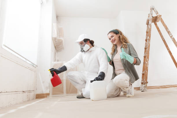 Best Real Estate Mold Inspection  in Belle Plaine, IA